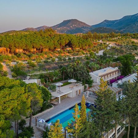 Kairos Valley Health & Nature Resort 达特恰 外观 照片