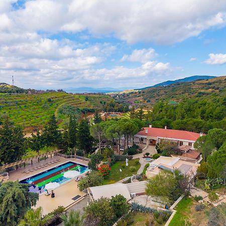 Kairos Valley Health & Nature Resort 达特恰 外观 照片