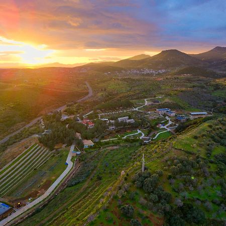 Kairos Valley Health & Nature Resort 达特恰 外观 照片