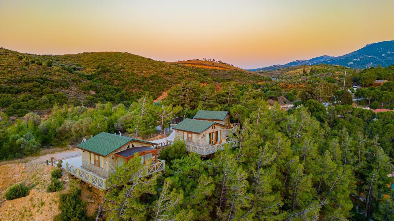Kairos Valley Health & Nature Resort 达特恰 外观 照片