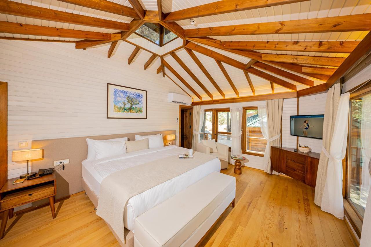 Kairos Valley Health & Nature Resort 达特恰 外观 照片