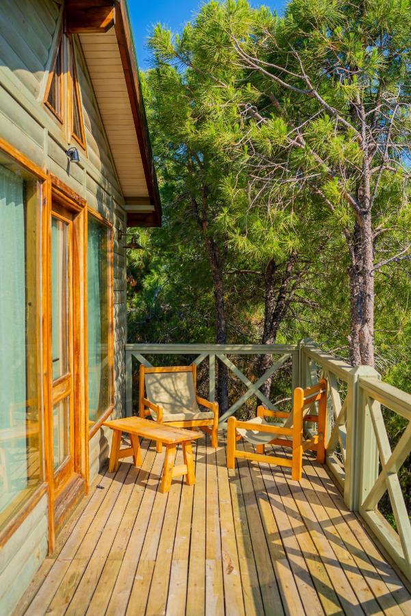 Kairos Valley Health & Nature Resort 达特恰 外观 照片