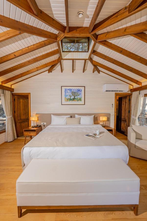 Kairos Valley Health & Nature Resort 达特恰 外观 照片