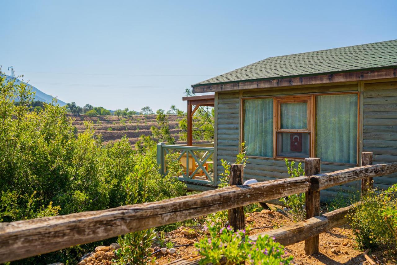Kairos Valley Health & Nature Resort 达特恰 外观 照片