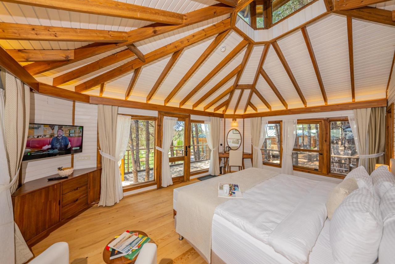 Kairos Valley Health & Nature Resort 达特恰 外观 照片