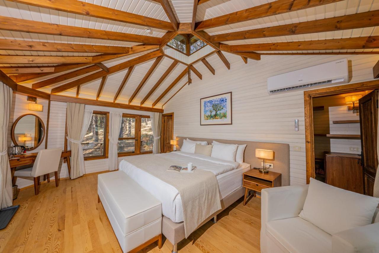 Kairos Valley Health & Nature Resort 达特恰 外观 照片