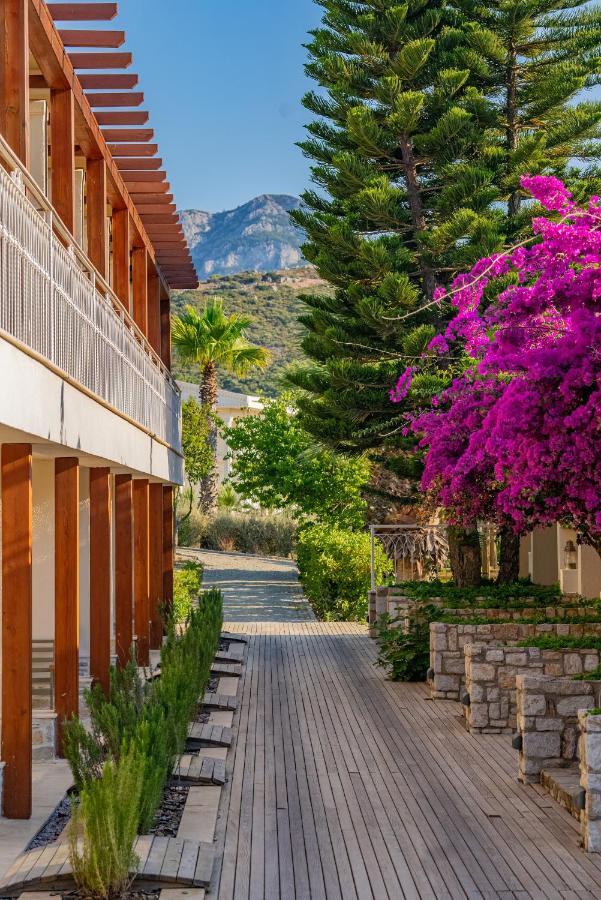 Kairos Valley Health & Nature Resort 达特恰 外观 照片